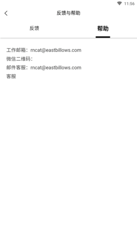 氡氡猫 (4)
