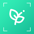 识植物app安卓版
