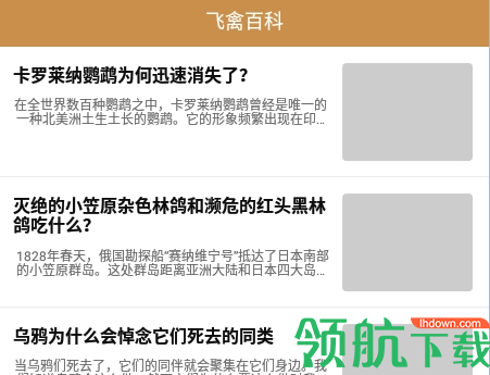 飞禽大全2022最新版