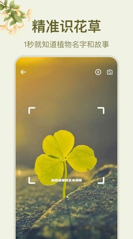神农百草识别APP