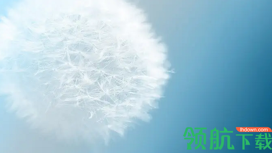 照片背景去除器汉化破解版