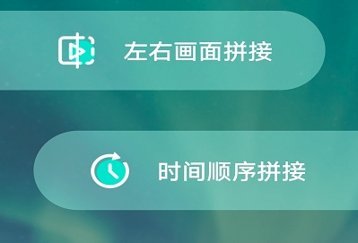 仙人掌点视频编辑APP免费版