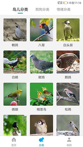 动物翻译器中文免费版