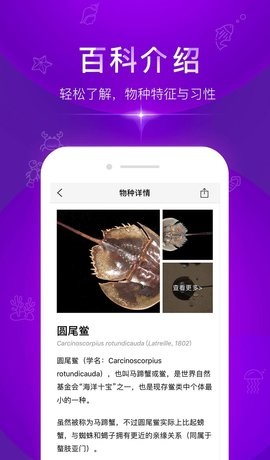 Fishes问鱼拍照识别海洋生物APP