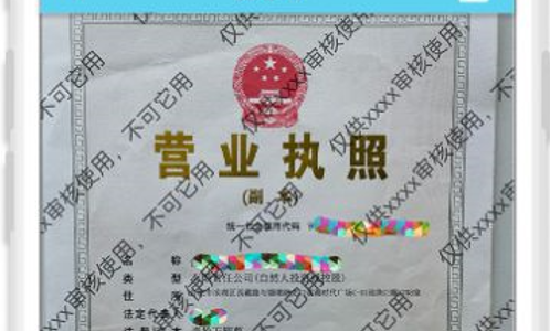图片水印处理器App高级版