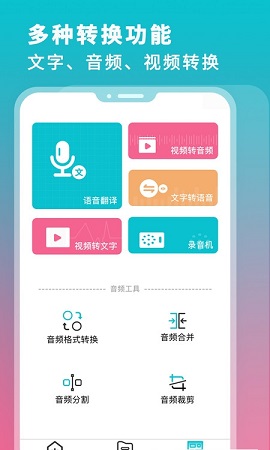 录音翻译转文字APP高级版