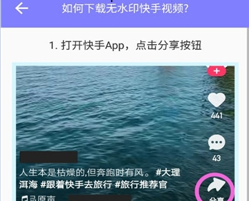 快闪下载器高级版