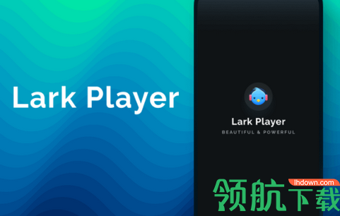 Lark Player汉化版