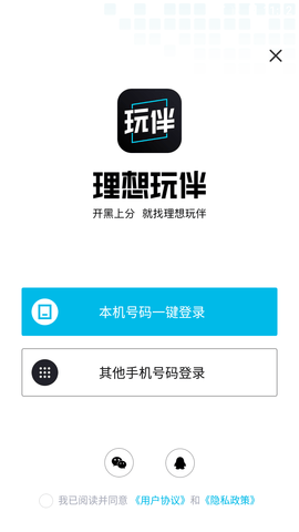 理想玩伴开黑上分APP