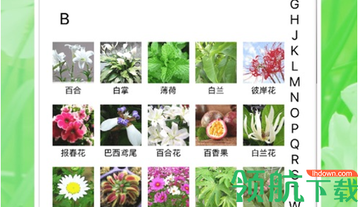 花草植物助手软件App