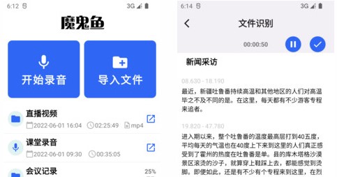 魔鬼鱼语音转写助手