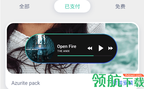 Widgets Pro汉化版