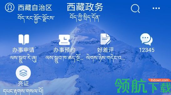 西藏政务服务平台手机版