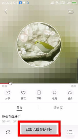 M站哔咪哔咪APP最新版