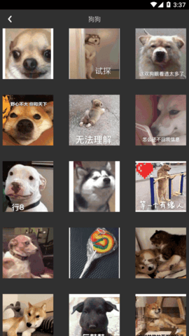 狗子表情大作战安卓免费版