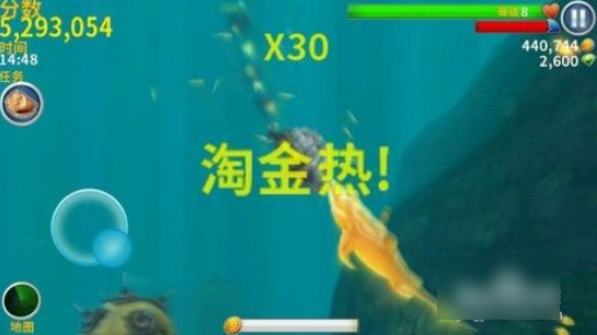 饥饿鲨破解版无限金币钻石版