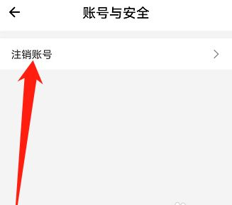 小拉出行司机版手机版