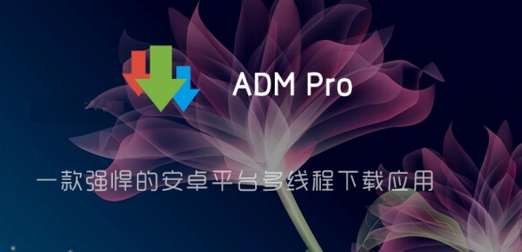 ADM Pro直装付费高级版