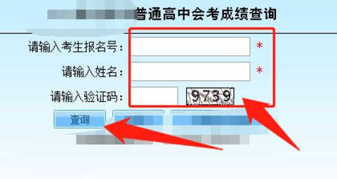 多彩宝官方版