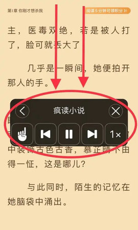 疯读小说无限听书时长版