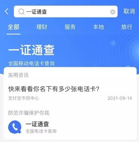 全国互联网一证通查APP