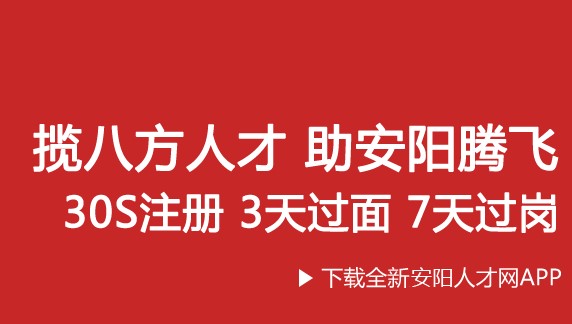 安阳人才网招聘APP官方版