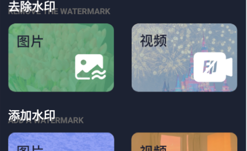 短视频去水印神器专业版