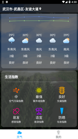 红叶天气(24小时预报)App官方版