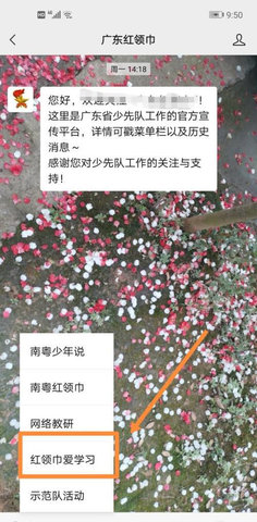 红领巾爱学习手机版