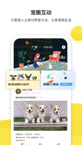 宠陪陪官方版