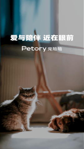 宠陪陪官方版