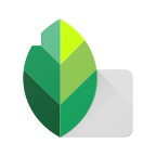 Snapseed(小树叶修图)2022最新版