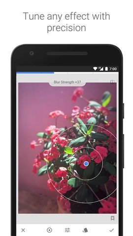 Snapseed(小树叶修图)2022最新版