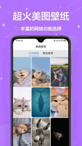 网络工具宝箱安卓版