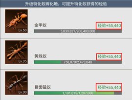 小小蚁国特化蚁如何进阶培养 小小蚁国特化蚁进阶培养攻略