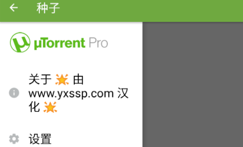 µTorrent Pro汉化版