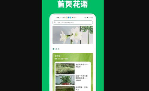 识花养花手机版