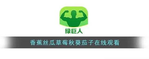 可以深夜打扑克的软件