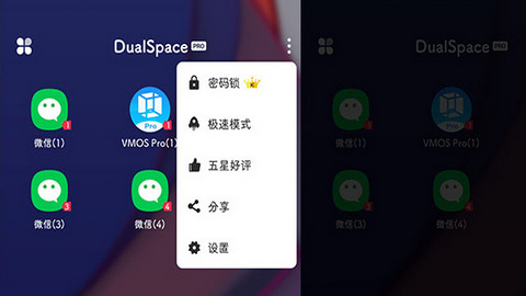 DualSpacePro2022最新版