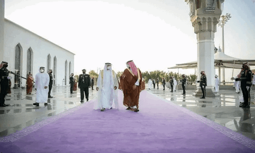 沙特迎宾为何铺紫罗兰色地毯