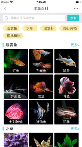 泡泡水族论坛app免费版