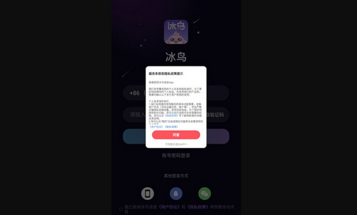 冰鸟语音App最新版