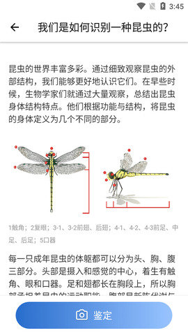 昆虫识别码