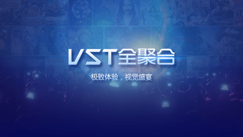 VST全聚合免升级版