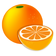柑橘阅读去广告版