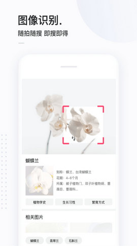 百度简单搜索APP