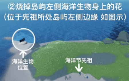 光遇清理圣岛被污染的漩涡攻略 清理圣岛被污染的漩涡流程