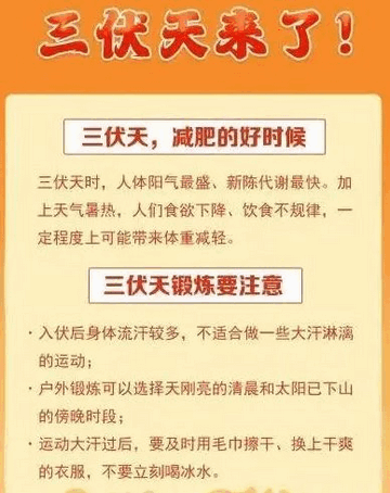 淘宝为何三伏天是最佳减肥时期答案 每日一题7.13三伏天减肥