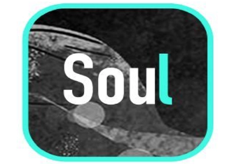 soul音乐瞬间怎么发 soul音乐瞬间怎么导入