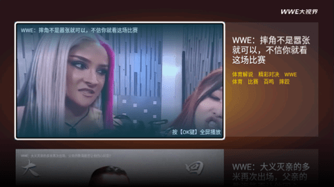 WWE大视界TV版